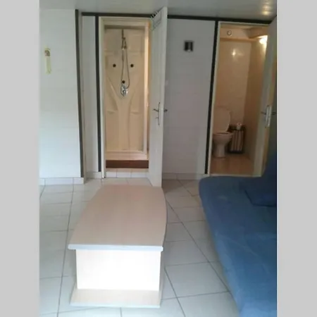 Cure Thermale Ou D'ete Au Dore Apartment Le Mont-Dore